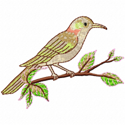 Hummingbirds Embroidery Design 1 Hummingbirds Embroidery Design 1